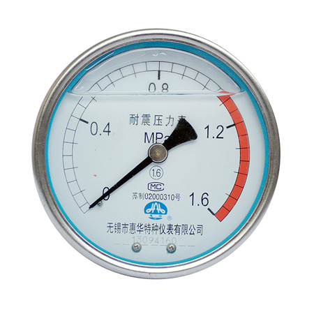YN-100轴向无边耐震压力表